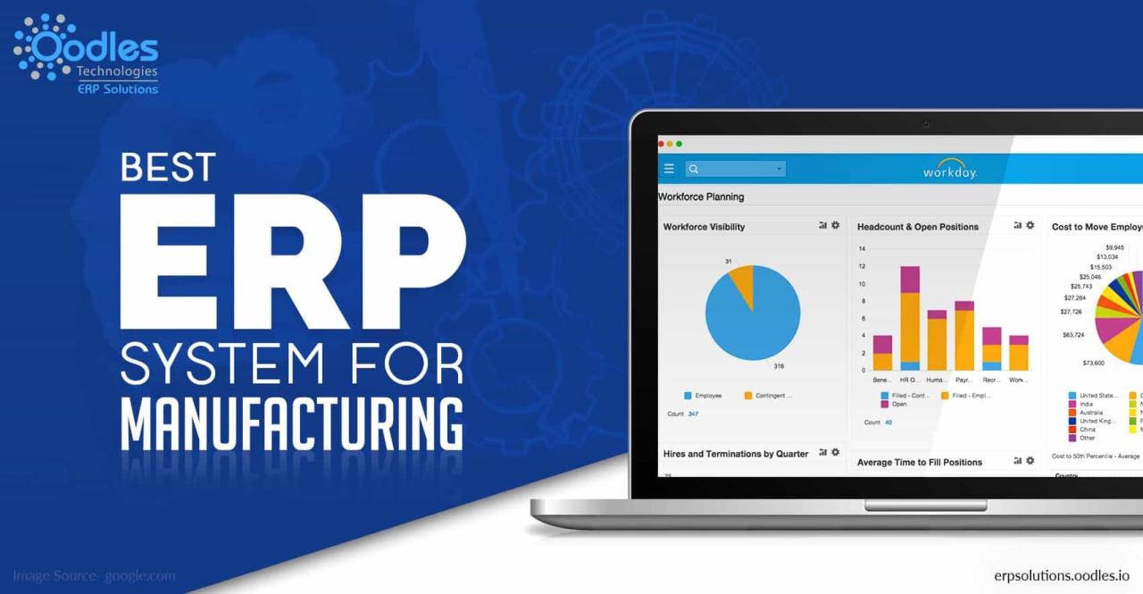 Unlocking Efficiency and Growth: Your Guide to the Best Manufacturing ERP Solutions