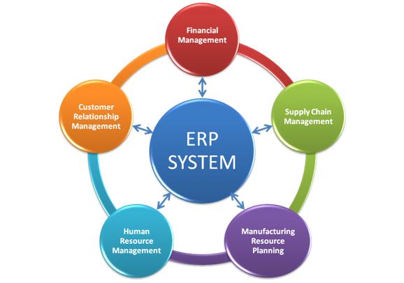 The ERP Revolution: How One Company Solved Its Growing Pains with a Tailored Software Solution