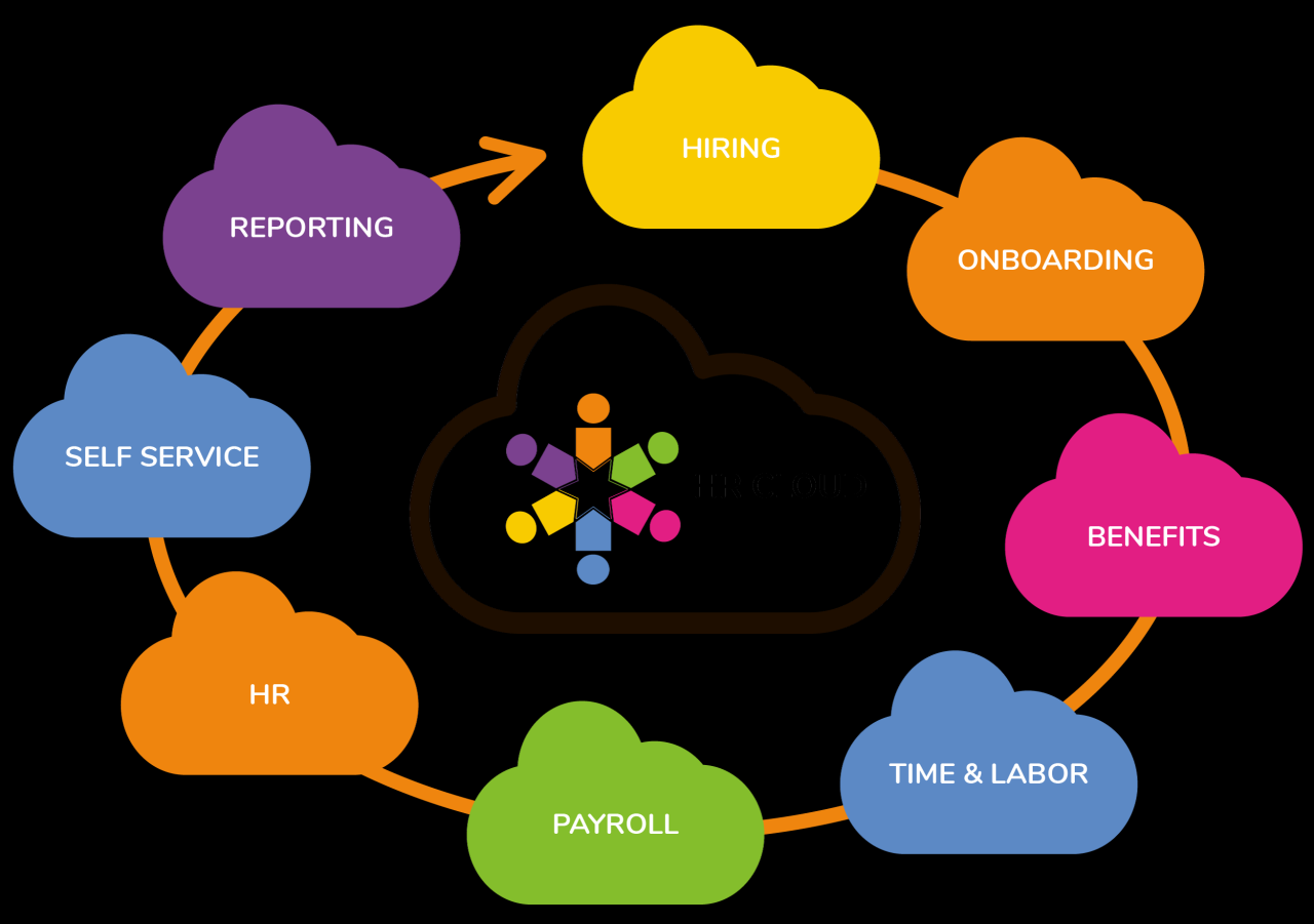 The Rise of the Cloud: How HR Management Software is Transforming the Workplace