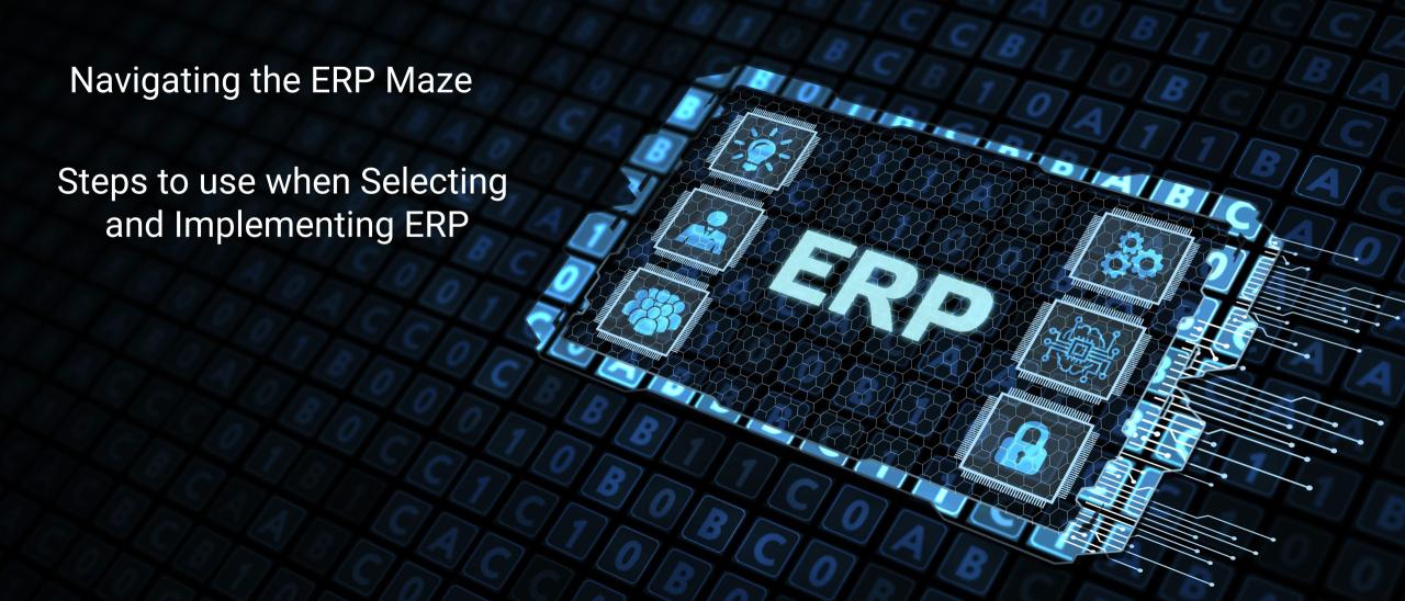 Navigating the Maze: How ERP Software Can Empower Your Small Business