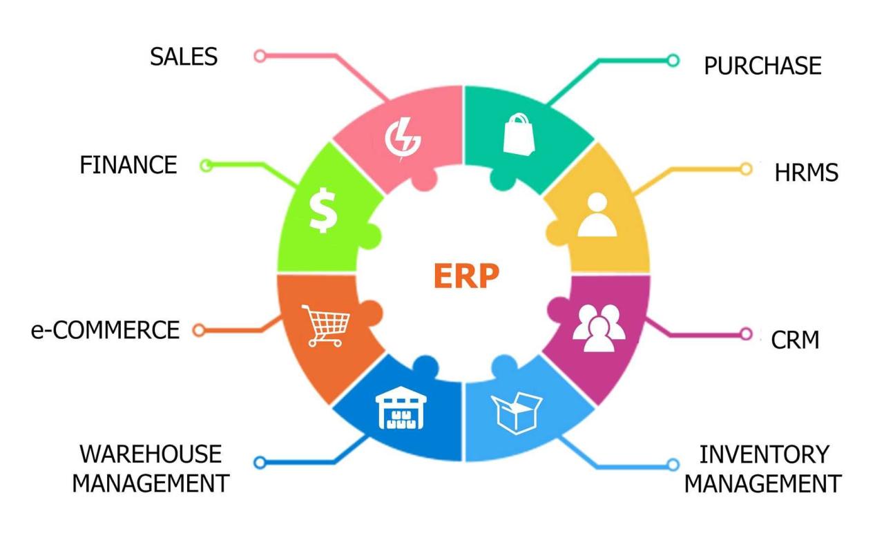 Navigating the Labyrinth: Demystifying Enterprise Accounting Software for Your Business