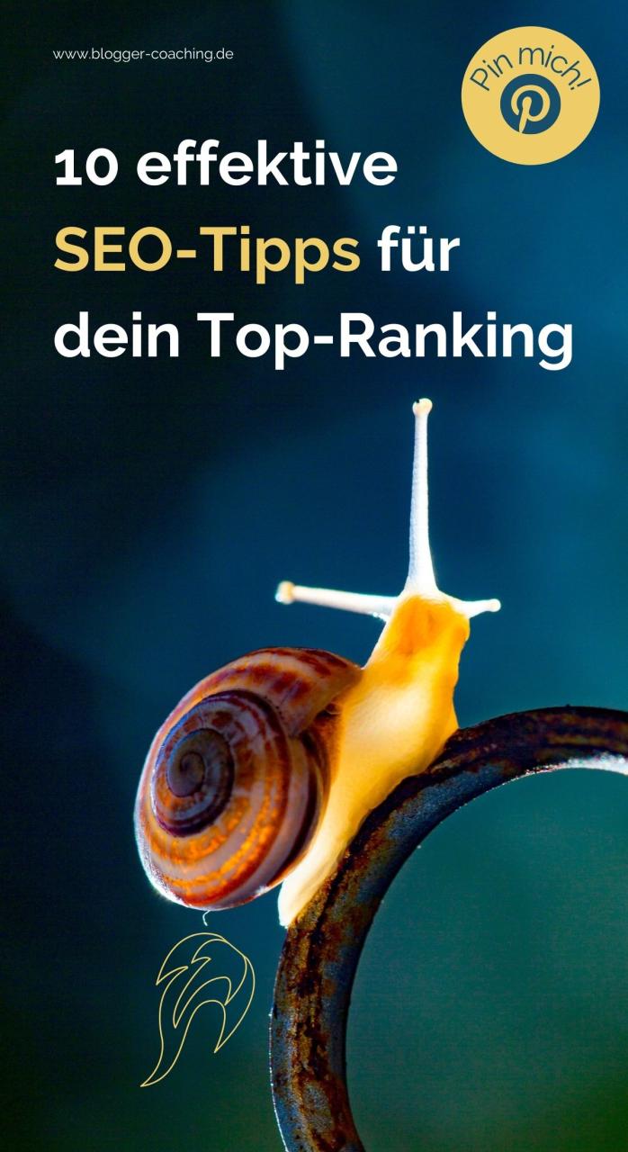 Google Discover optimieren und das Ranking verbessern: Ein umfassender Leitfaden