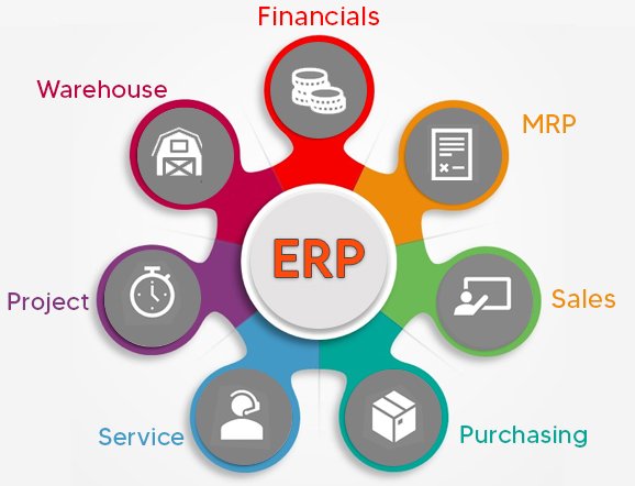 Unleashing Efficiency: How Acumatica ERP Can Transform Your Business