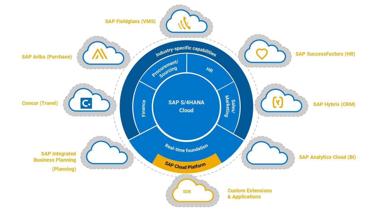 Navigating the Complexities of Modern Business: Unlocking Efficiency and Growth with SAP Cloud ERP